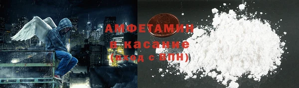 индика Баксан