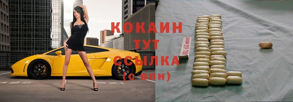 индика Баксан
