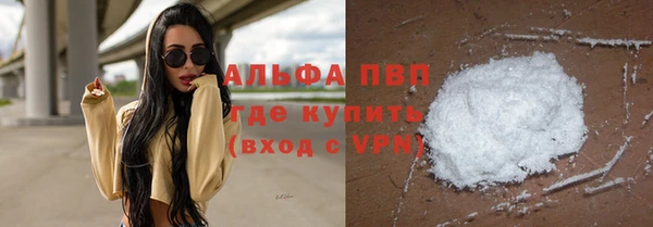 ПСИЛОЦИБИНОВЫЕ ГРИБЫ Богданович