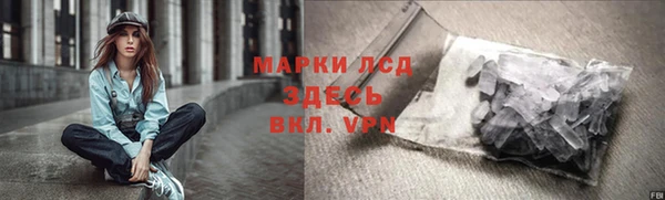 индика Баксан