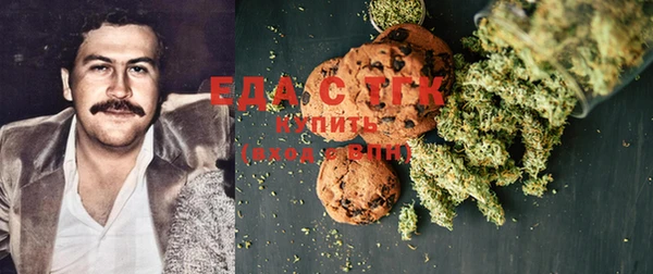 индика Баксан