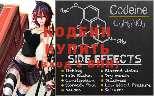 индика Баксан