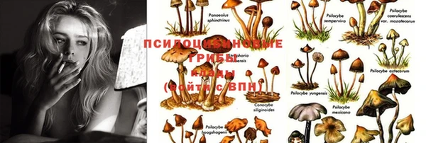 MESCALINE Балахна